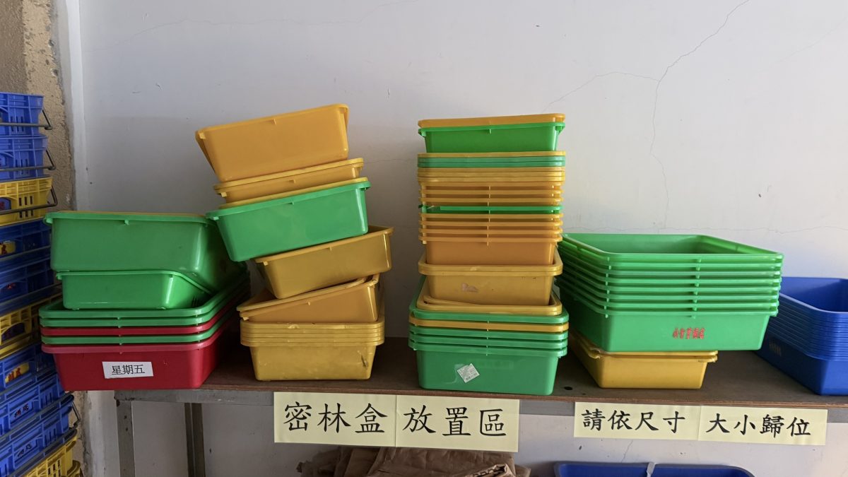 混ˇ亂的密林盒